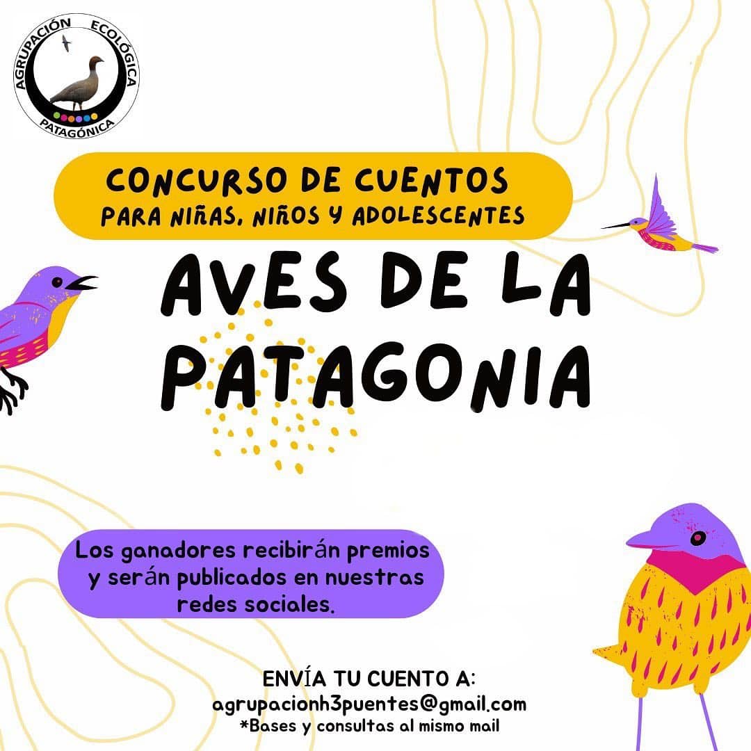 afiche concursos aves de la patagonia