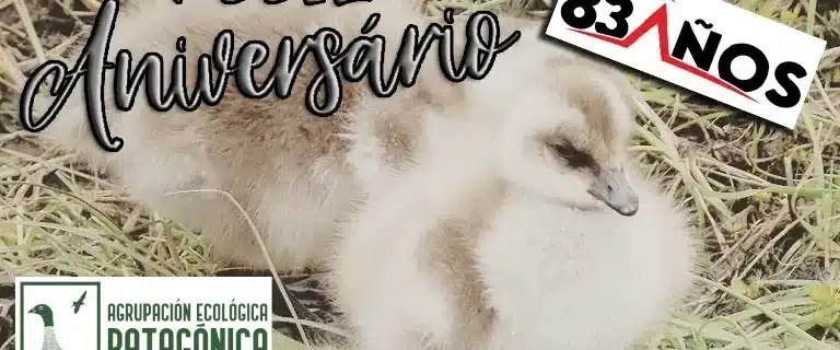 Saludo Radio Polar Portada