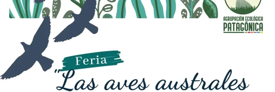 Feria Las aves australes portada