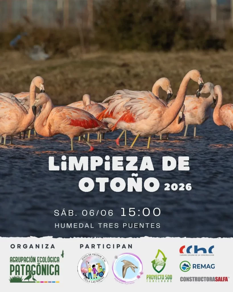 Afiche Limpieza Otoño 2026