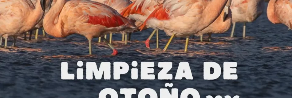 Afiche Limpieza Otoño 2026