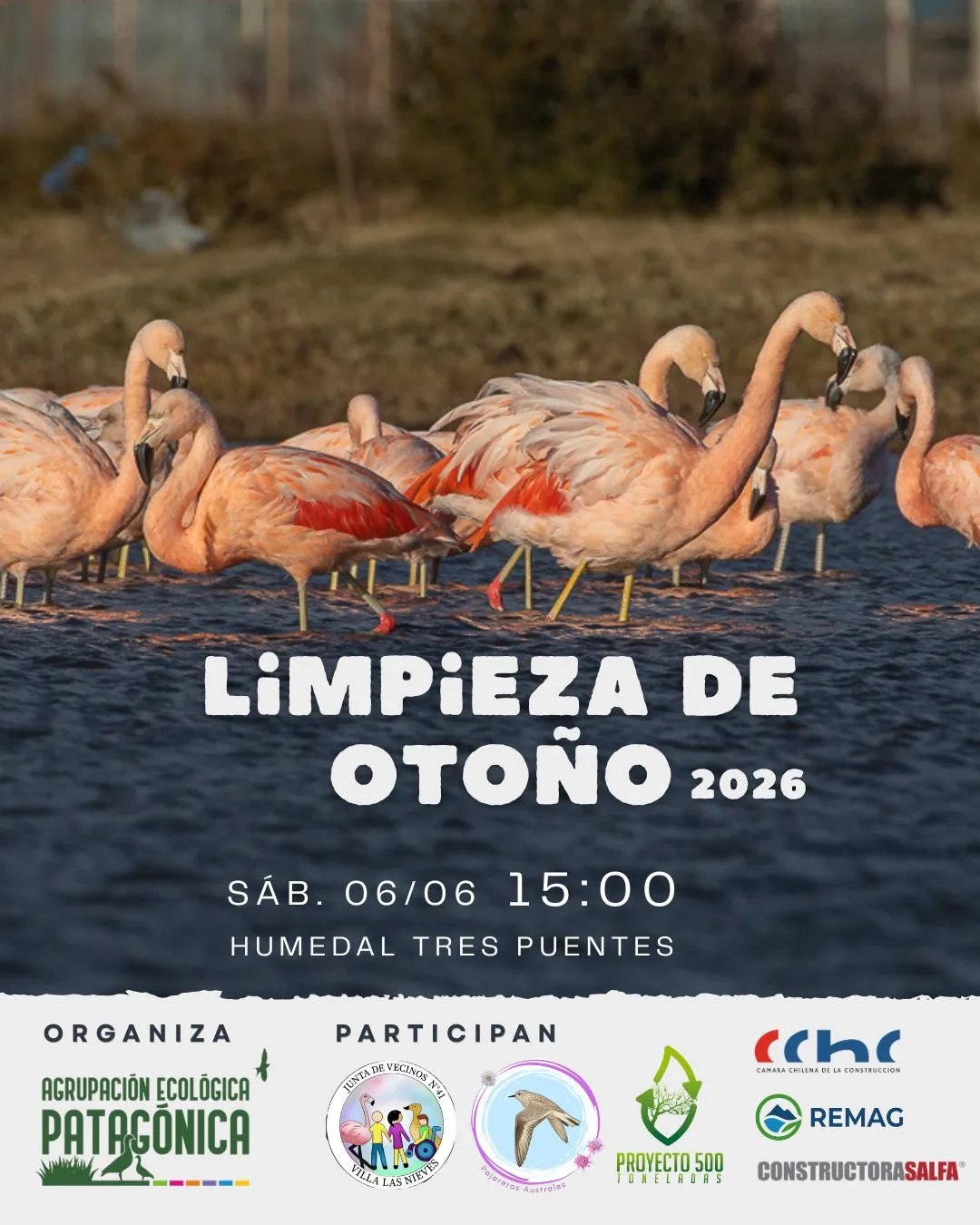 Limpieza de Otoño 2026 en el Humedal Tres Puentes